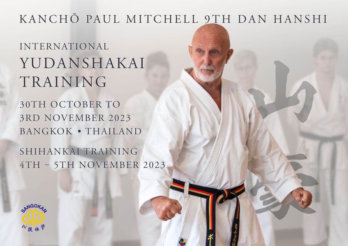Kancho Paul Mitchell standing powerful in his Dojo