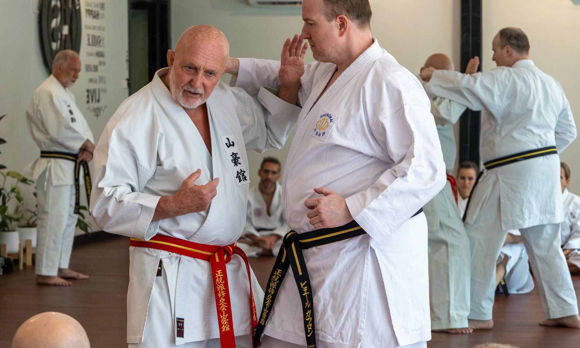 Paul Mitchell teaching Karate to advanced Black Belts